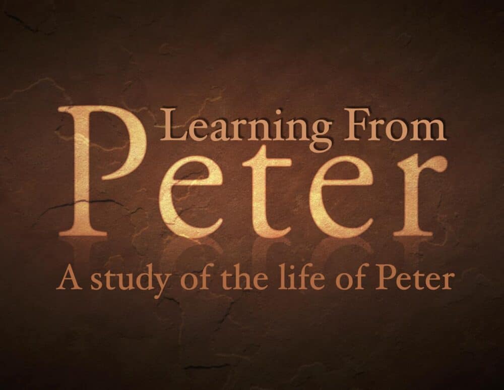 Learning from Peter Image