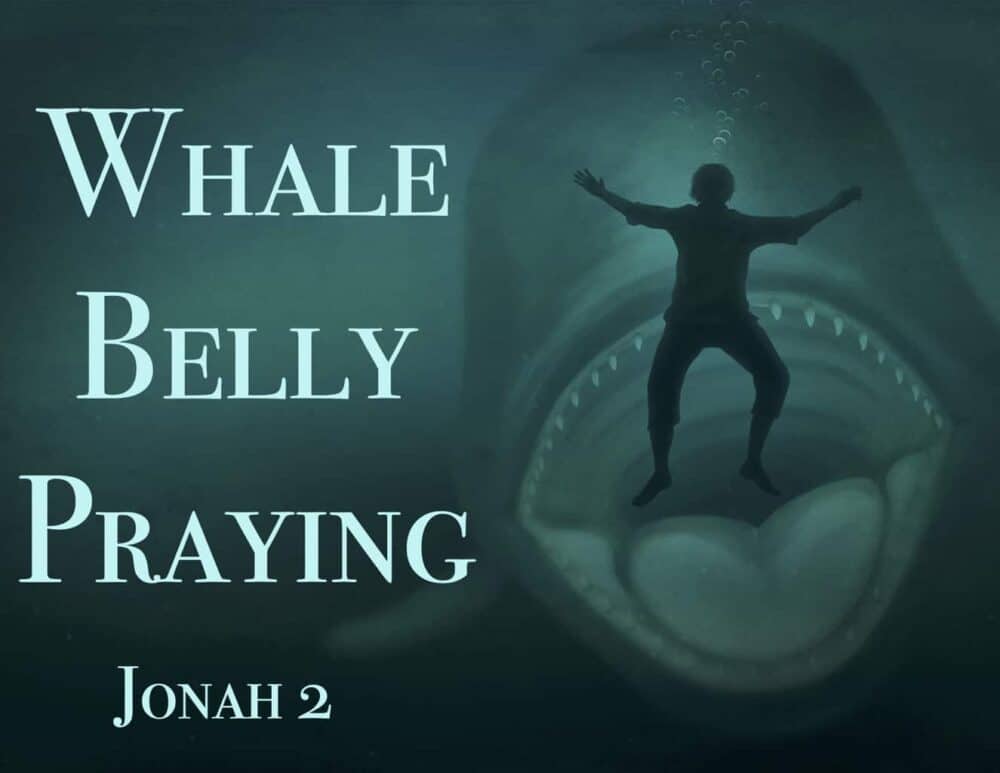 Whale Belly Praying Image